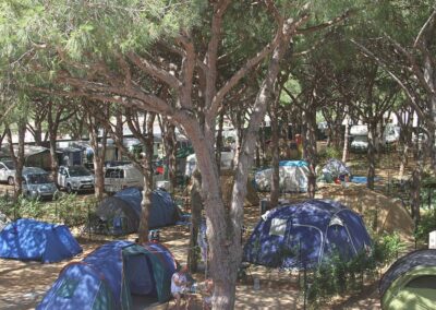 Caños de Meca | Camping & Bungalows - Parcelas